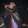 GutterPunk - Professional Concert Photography